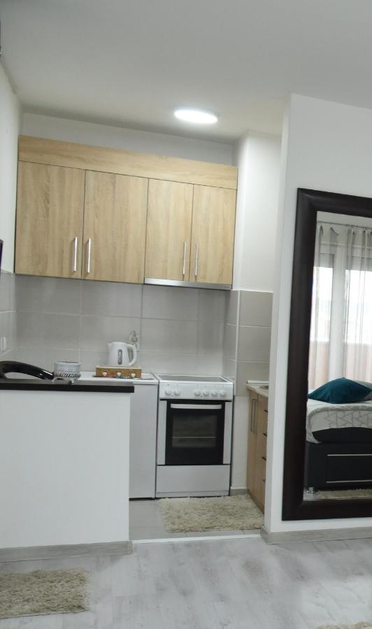 Apartmani Sofronic Loznica 2 Dış mekan fotoğraf